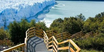 El calafate glaciar