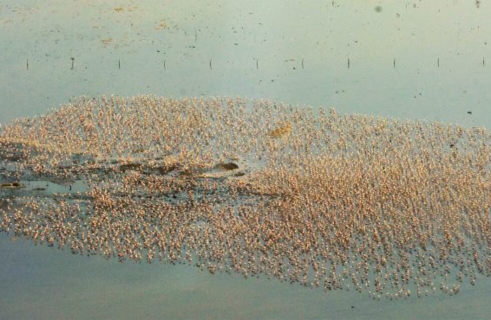 El clima en Ansenuza amaneció inestable y fresco