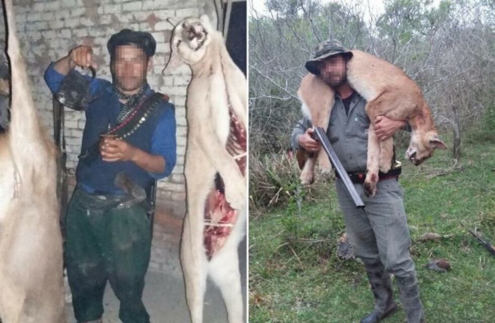 Subía fotos a Facebook para exhibir los pumas que había cazado y burlarse de la policía