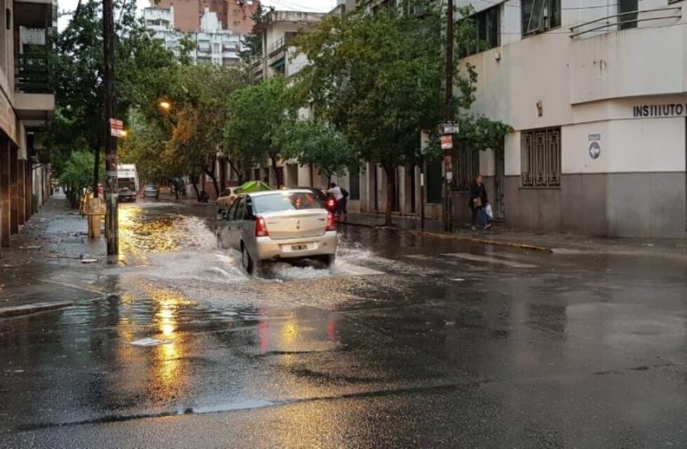 El temporal no da tregua y ya son más de 150 los árboles caídos