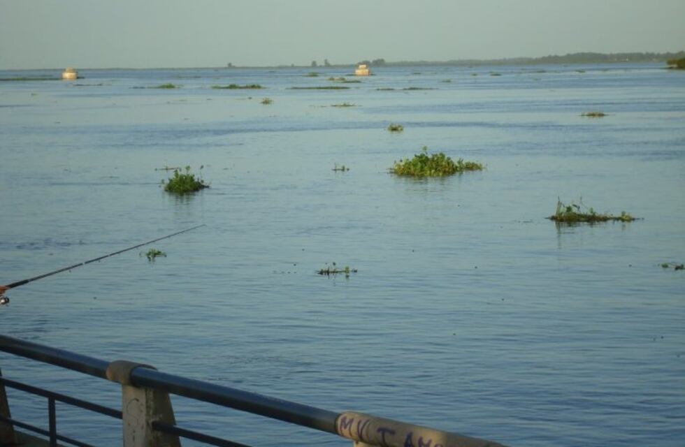 Tras el temporal, los camalotes invadieron el balneario municipal de Paraná