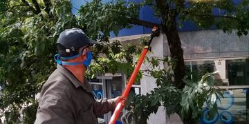 Fumigaciones en la capital tucumana contra el coronavirus (Foto: MSMT)\u002E