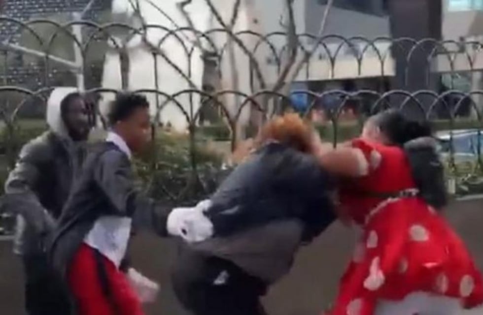 Minnie Mouse se peleó a las trompadas con una agente de seguridad