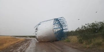 Un temporal azotó a Patagones y dejó varios árboles caídos en la zona