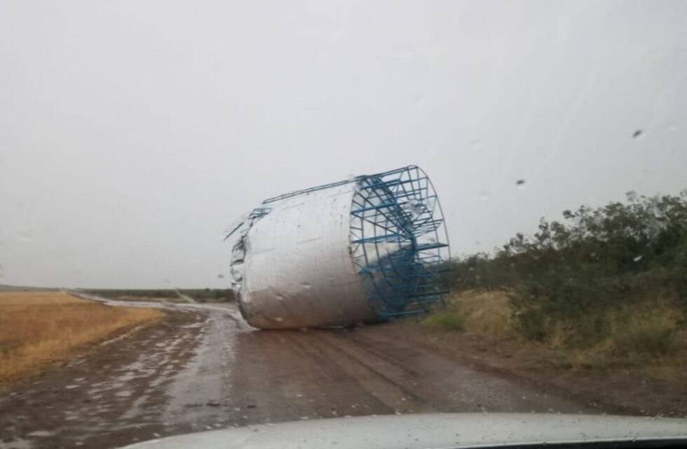 Un temporal azotó a Patagones y dejó varios árboles caídos en la zona