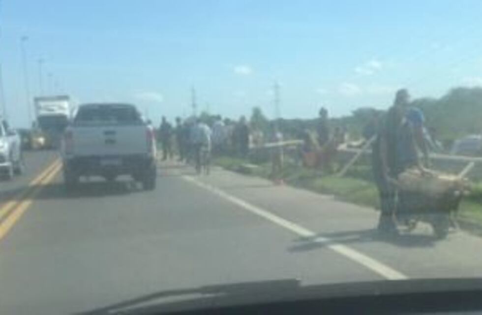 Robaron la madera desparramada por un camión en el Puente Interprovincial