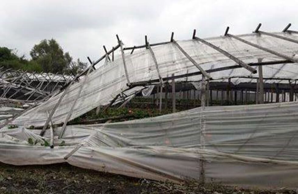 Lanzan créditos blandos para productores frutihortícolas platenses afectados por el temporal