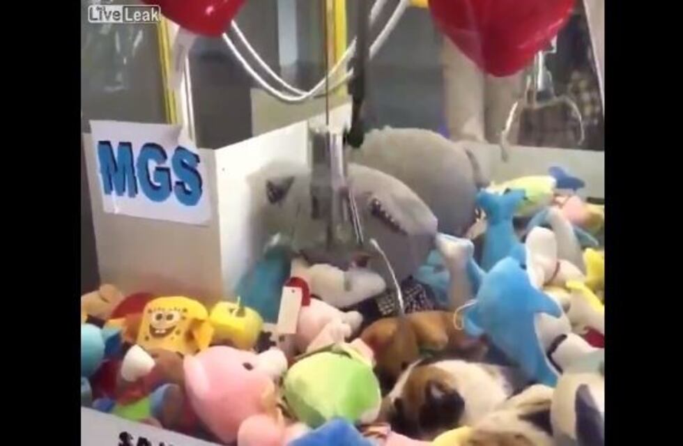 Quiso sacar un peluche y se llevó una gran sorpresa