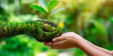 cuidado del medio ambiente