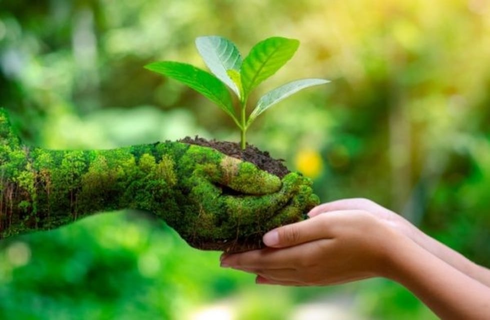 Ya rige el nuevo código ambiental con pautas de conservación y criterios sostenibles