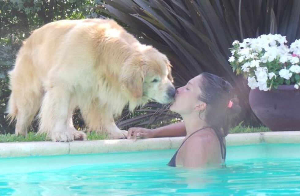 El conmovedor mensaje de Noe Arancibia, la joven que sufre un tumor cerebral y desató un aluvión solidario