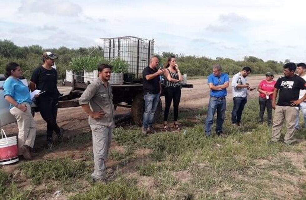 Plantarán 60 mil algarrobos blancos sobre la zona de riego del Río Dulce