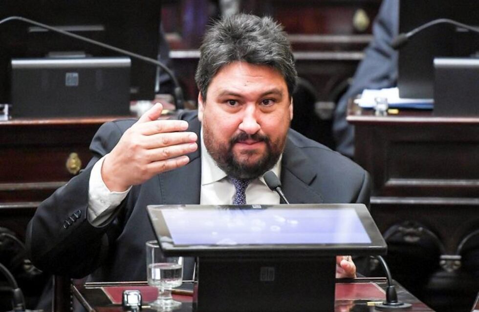 Closs aseguró que los productores forestales podrían quedarse sin incentivos