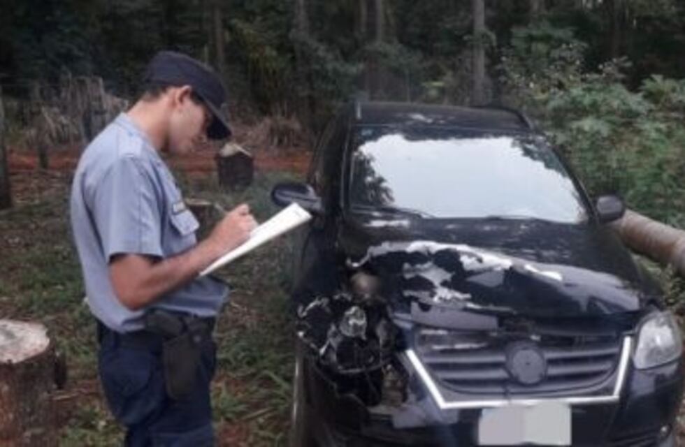 Localizan y multan a un brasilero por atropellar y matar a un tapir