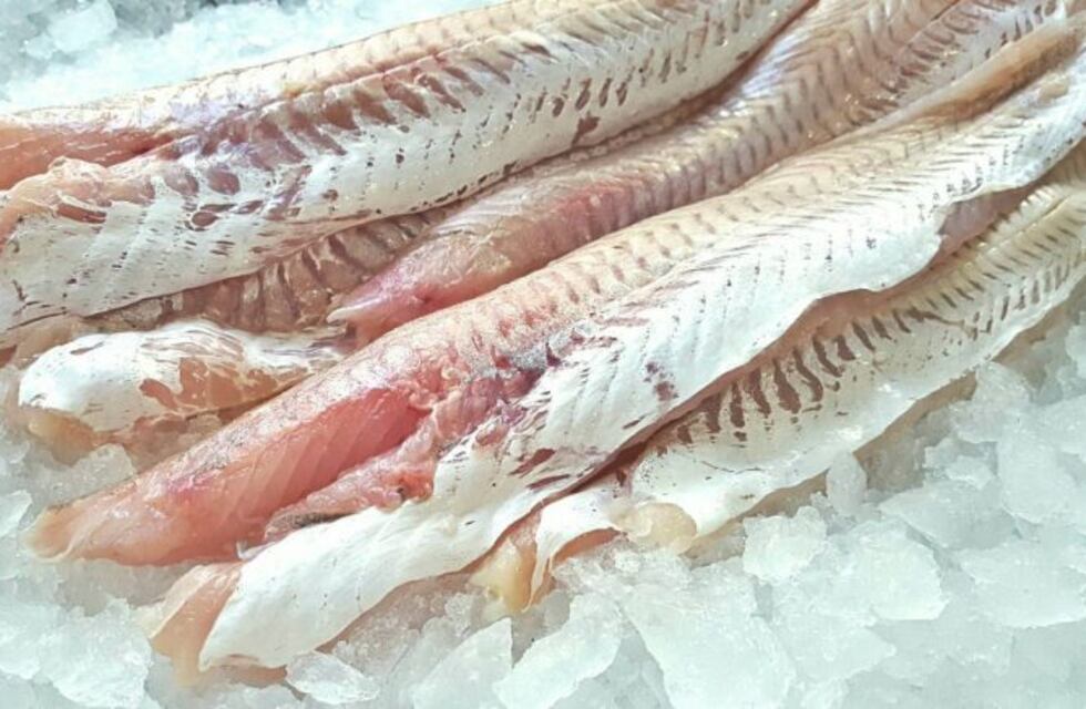 Acordaron incrementar la explotación de merluza en Chubut