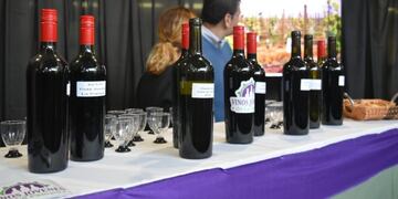 Degustación de vinos jóvenes pampeanos (Gobierno de La Pampa)