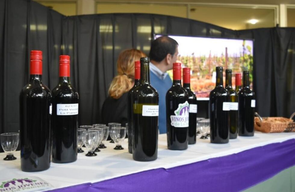 Organizan en Santa Rosa una degustación y charla de vinos jóvenes pampeanos