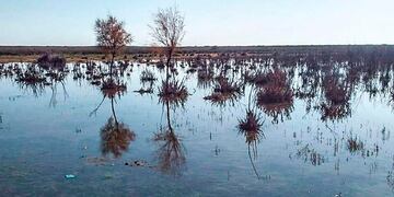 Según los puesteros, el agua que ingresa de Mendoza inunda los campos por falta de canalización (El Diario)