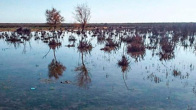 Según los puesteros, el agua que ingresa de Mendoza inunda los campos por falta de canalización (El Diario)