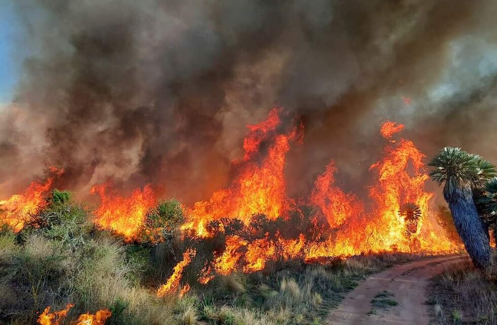 Incendios en Córdoba: un foco sigue activo en Traslasierra y esperan por las lluvias