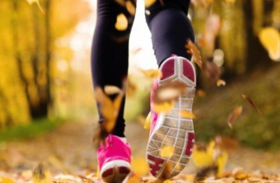 Reabren los parques públicos en San Luis