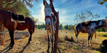 Visitas al "Establecimiento Las Palmera".
