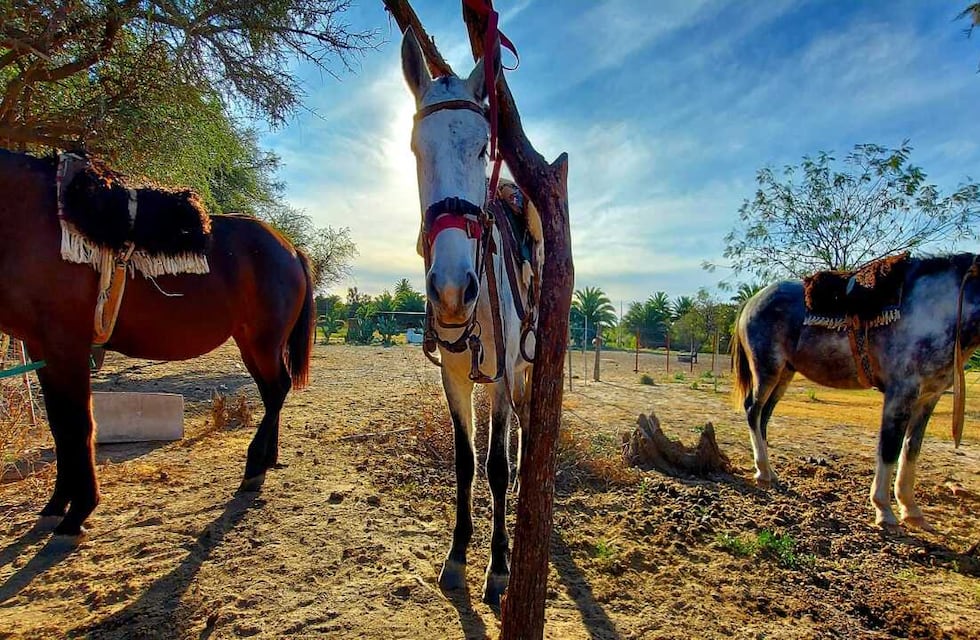 Turismo rural y de aventura: “Cabalgatas Ansenuza”