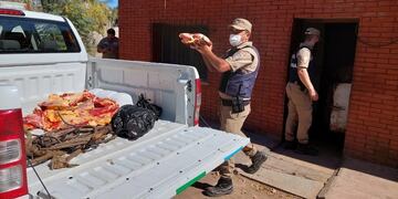 Mataderos clandestinos en  el Norte de Córdoba:  tenían 300 kilos faenados sin medidas de higiene.
