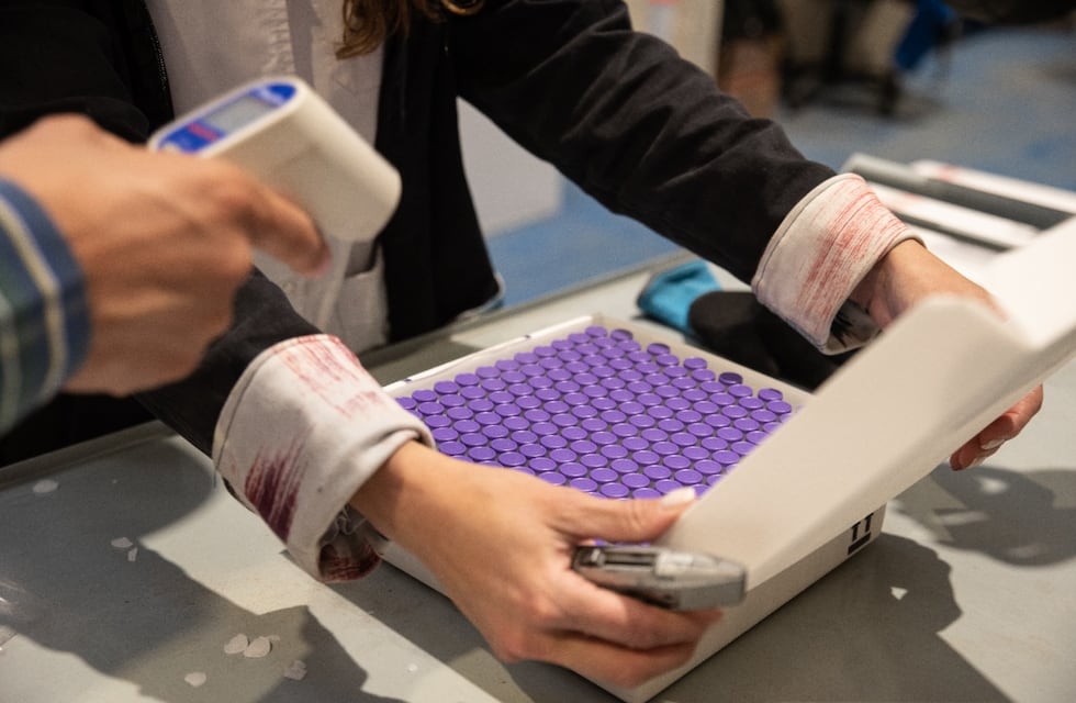 Este miércoles llegaron 2.340 dosis de Pfizer a San Luis