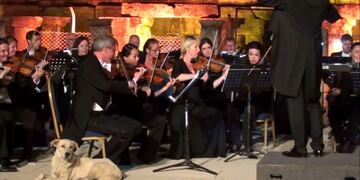 El perro se sentó al lado de la orquesta mientras tocaba y se robó todas las miradas\u002E