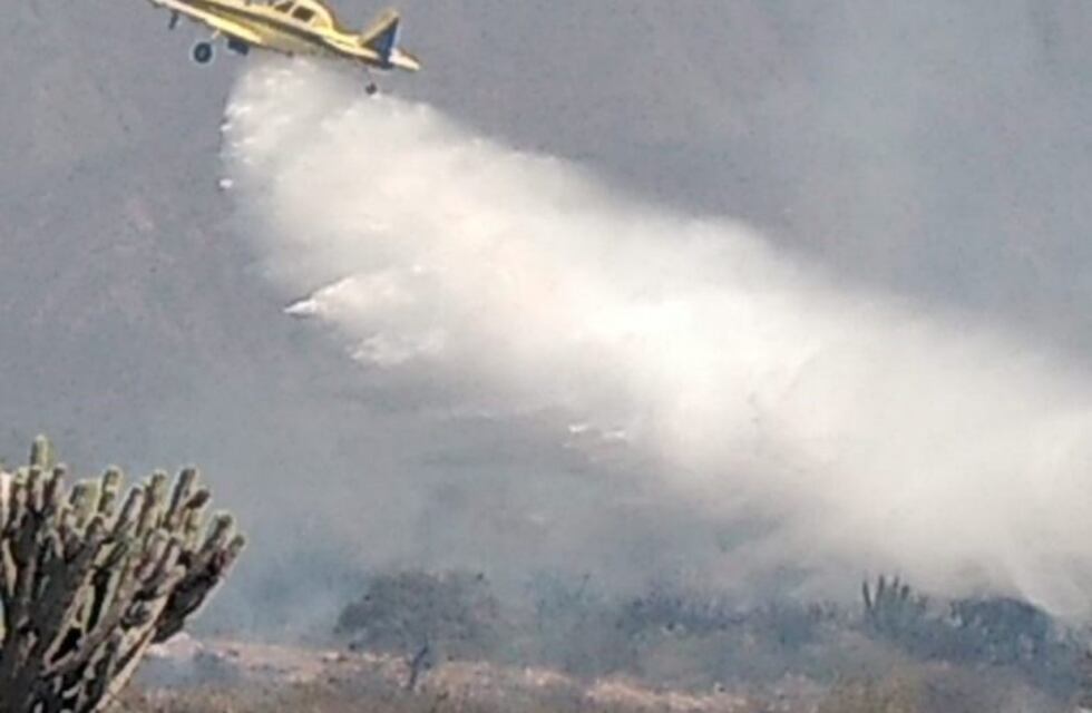 Contienen incendio de gran magnitud en la zona oeste de la ciudad de La Rioja