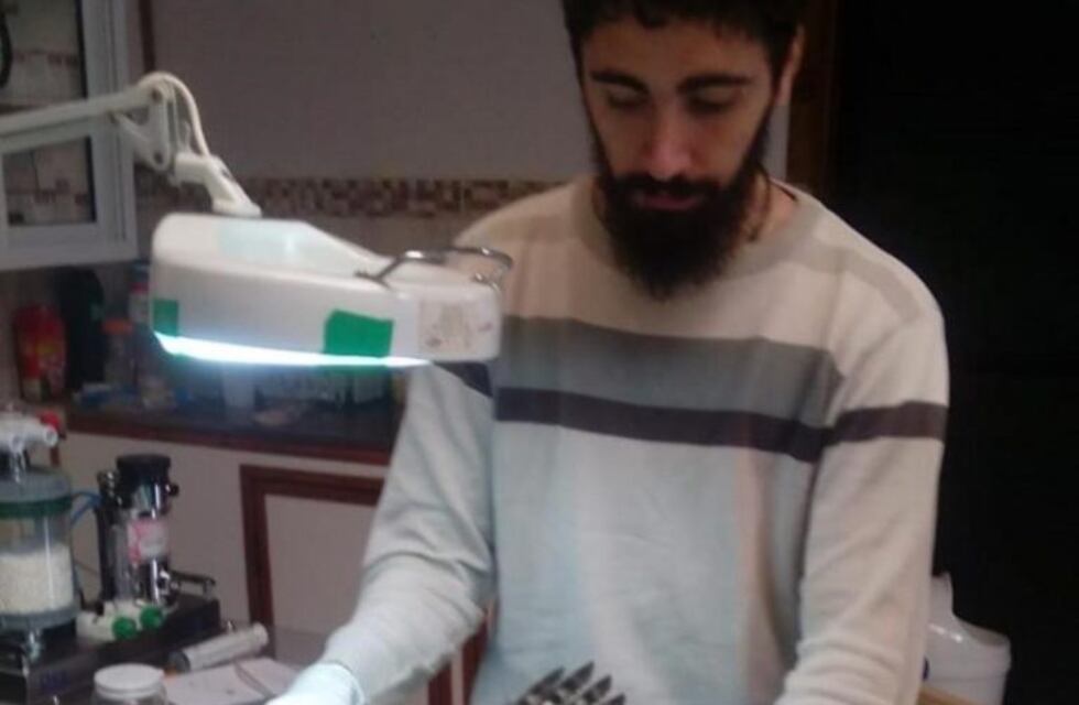 Intervinieron quirúrgicamente a un taguató que fue encontrado malherido