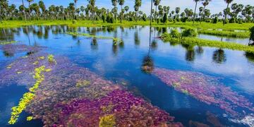 Hasta este lunes el 6 de mayo, podes sumar tu voto al bañado La Estrella
