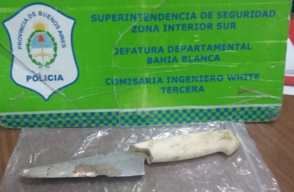 Una mujer fue detenida por herir a su hijo con un cuchillo