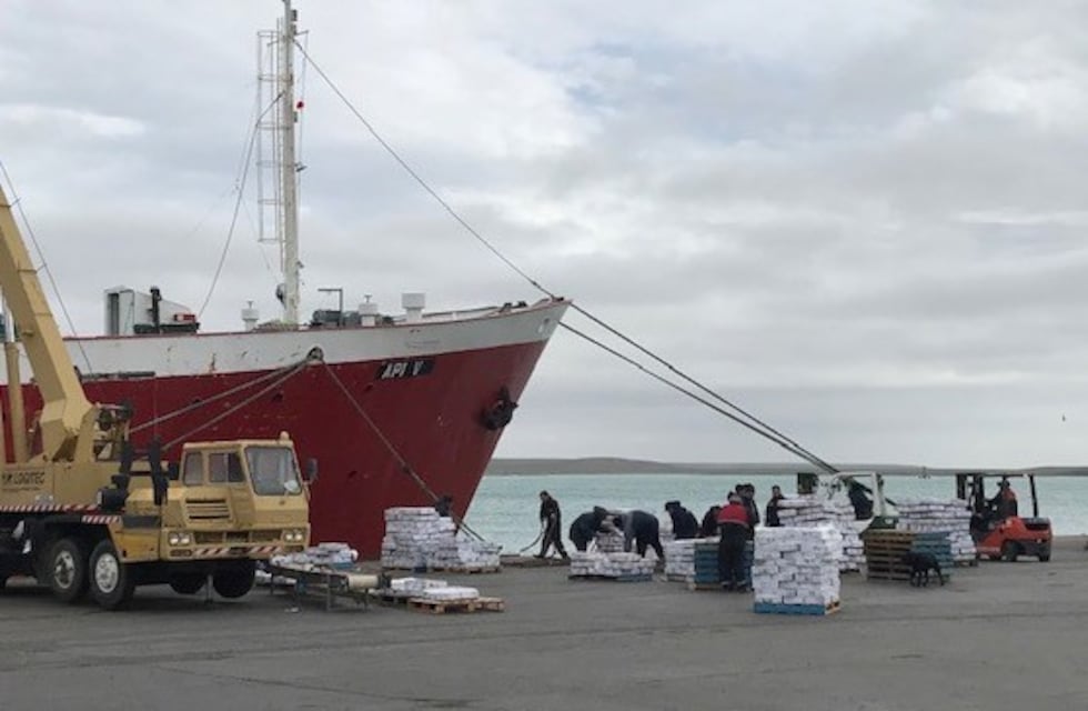 Está en marcha la planta de tratamiento de desechos orgánicos