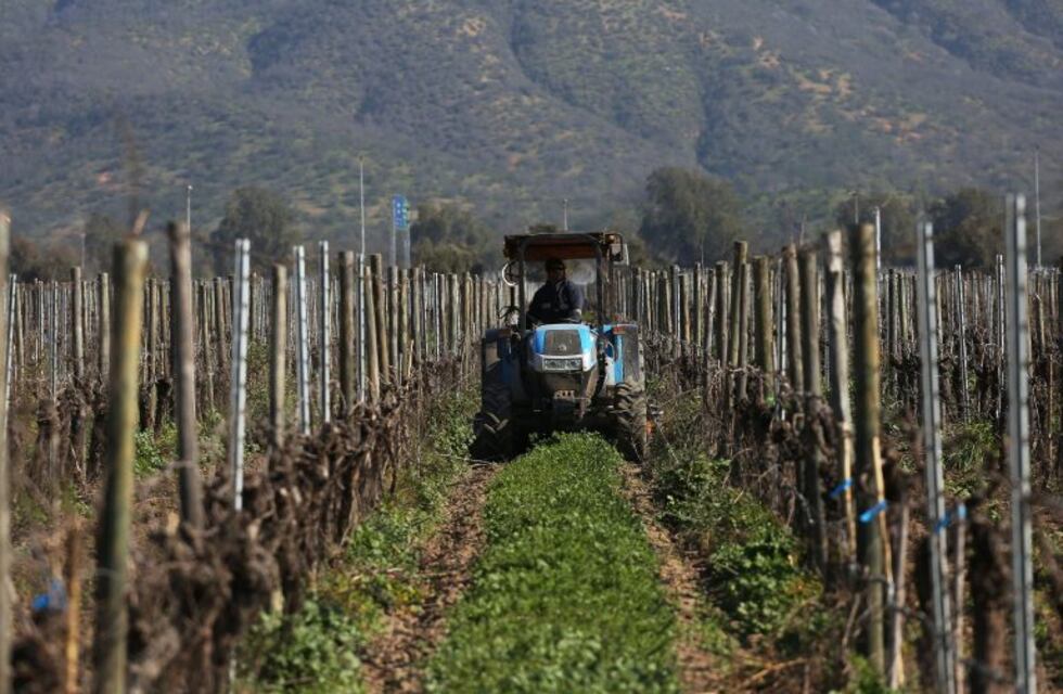 Más de cinco mil productores denunciaron daños por heladas esta temporada
