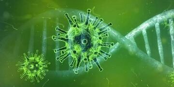 El Ministerio de Salud de Entre Ríos informa que son 1164 los casos de Coronavirus en Gualeguaychú\u002E\nCrédito: Web