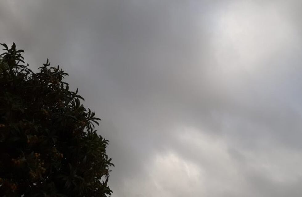 San Luis: mayormente nublado con presencia de neblinas