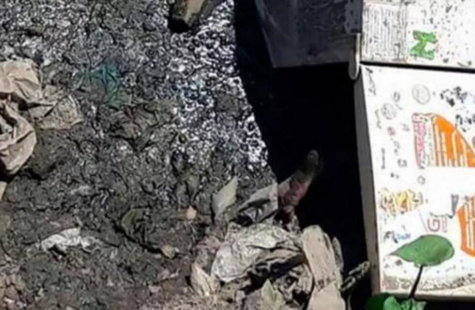 Identificaron a la mujer que apareció muerta dentro de una heladera