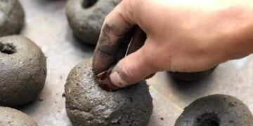 Cordoba: preparan bombas de semillas para plantar en zonas afectadas por los incendios\u002E