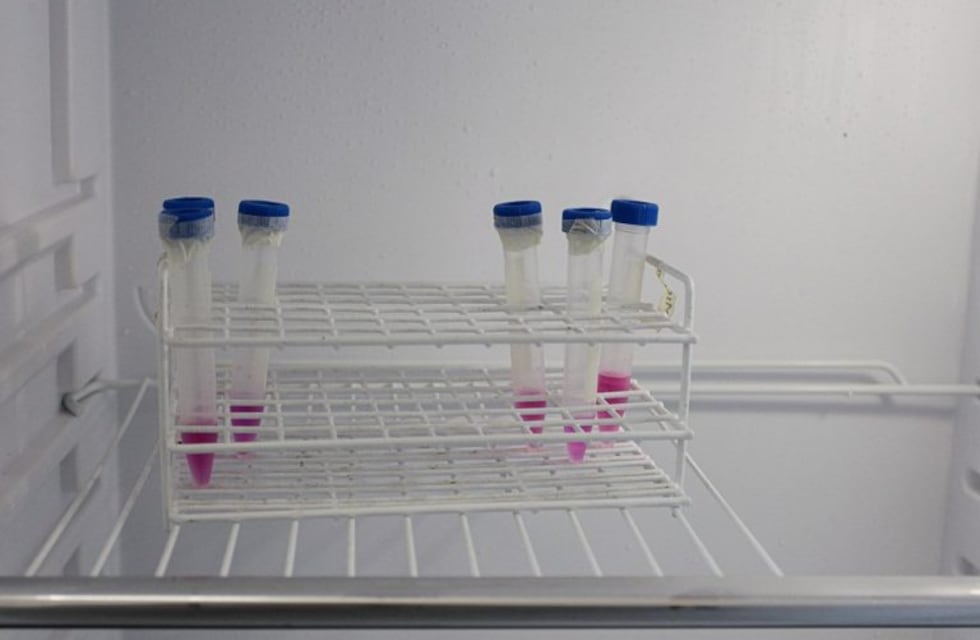 Coronavirus: un total de 31 pacientes ya fueron dados de alta en la provincia