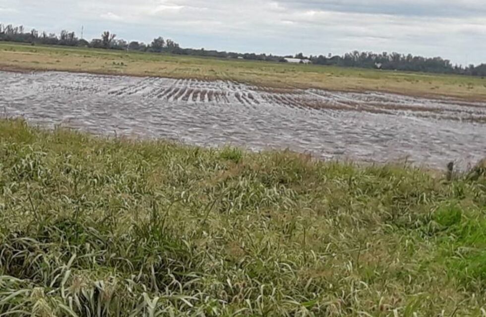 Bell Ville: la Municipalidad adoptó nuevas medidas de seguridad ante la llegada del agua a la ciudad