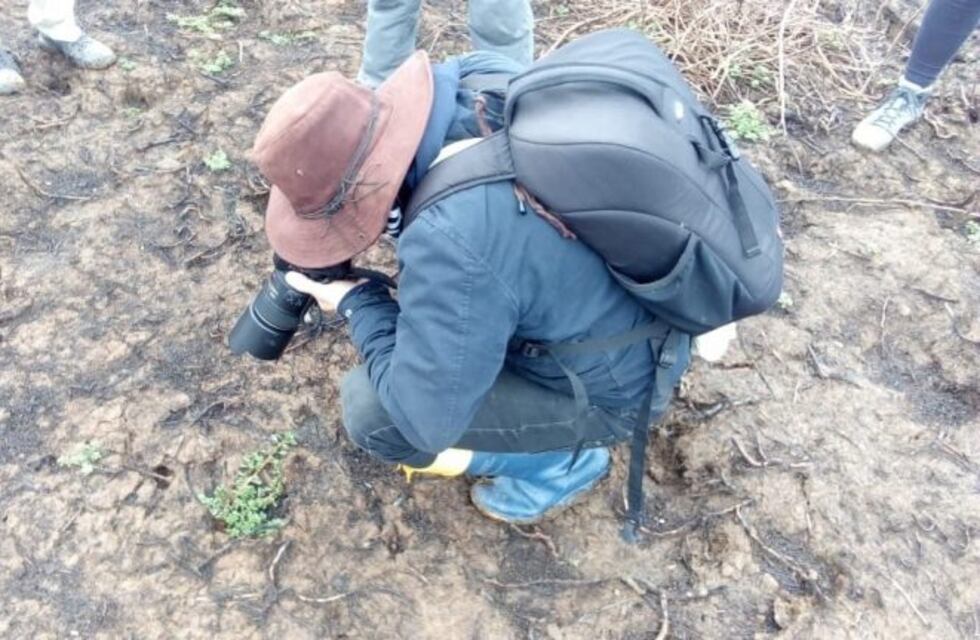 Científicos de la UNR empezaron a investigar en las islas frente a Rosario