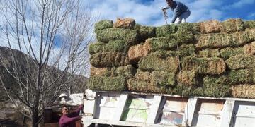Asisten con 200 fardos de pasto a productores de Potrerillos afectados con los incendios