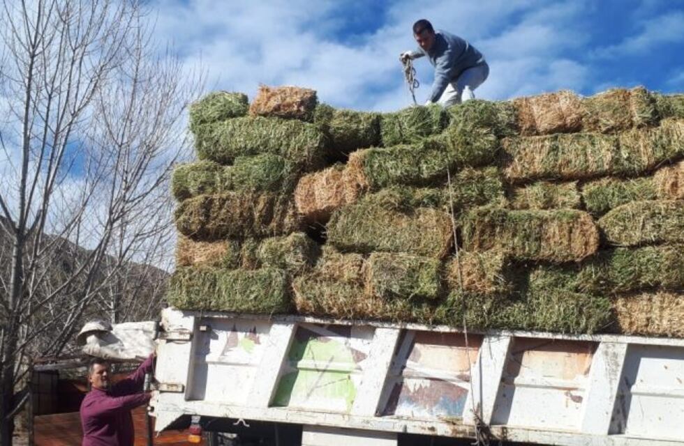 Asisten con 200 fardos de pasto a productores de Potrerillos afectados con los incendios