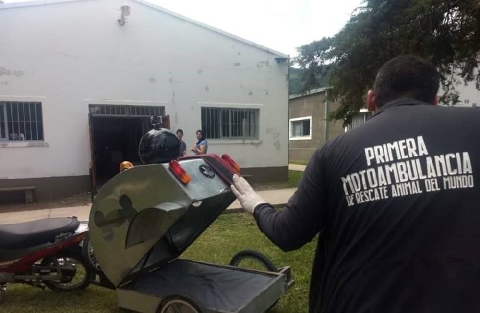 De los creadores de la motoambulancia para mascotas, llega el primer banco solidario animal