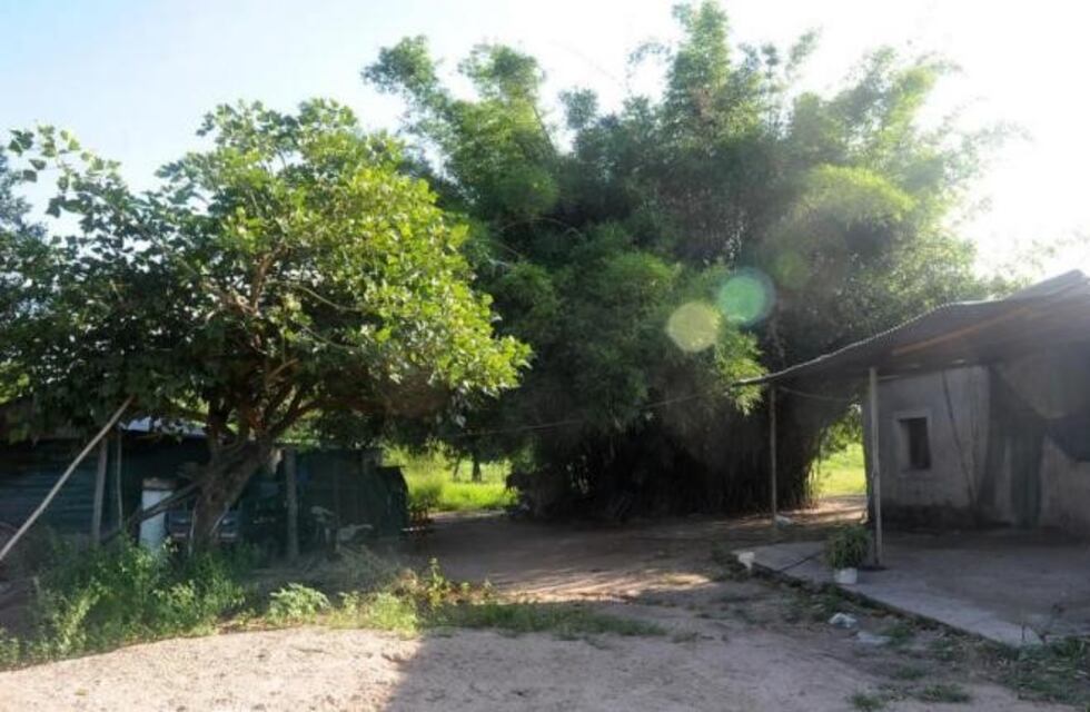 Un adolescente mató a su abuelo para defender a su abuela de ser maltratada