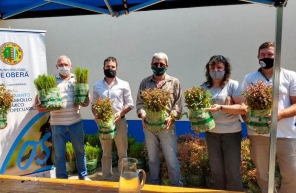 Programa Pro Leña: entregaron plantines de pinos y eucaliptos a productores locales