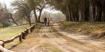 Arroyito: apertura de sobre para la inversión estratégica en la Costanera