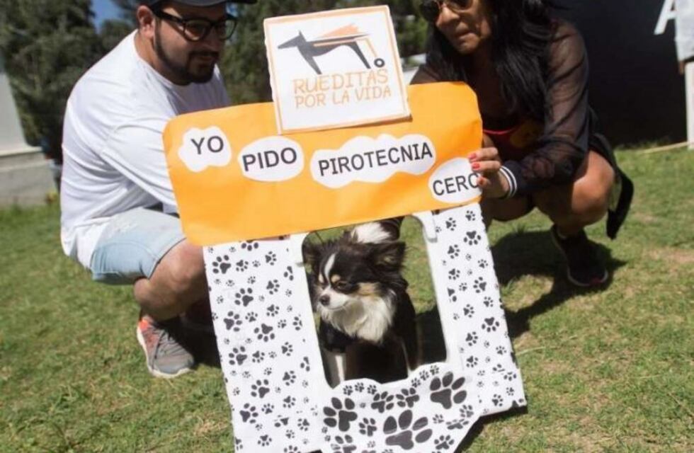 Mascotas y sus dueños pidieron por "pirotecnia cero"